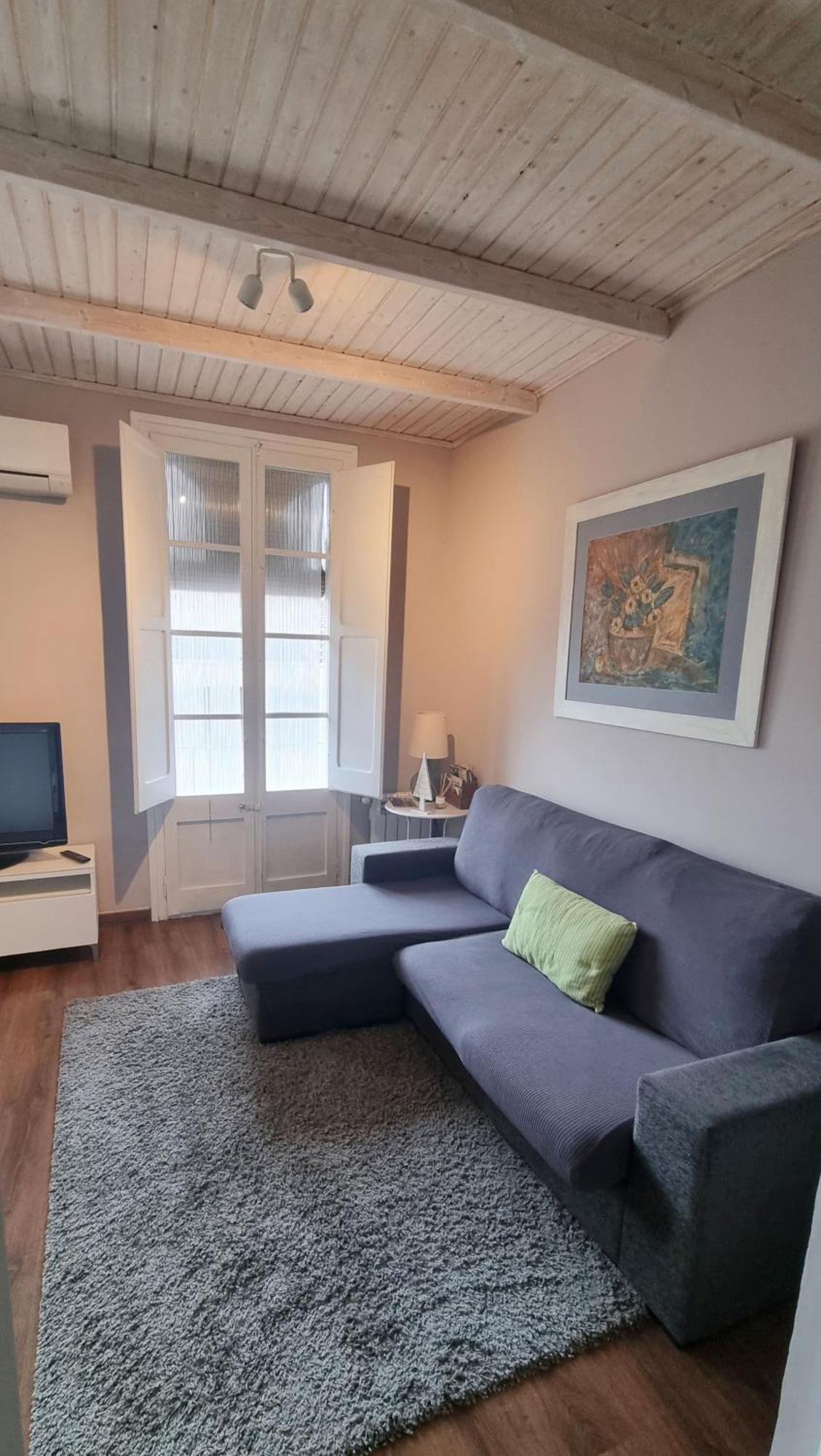 Apartment Sant Francesc Olot Luaran gambar