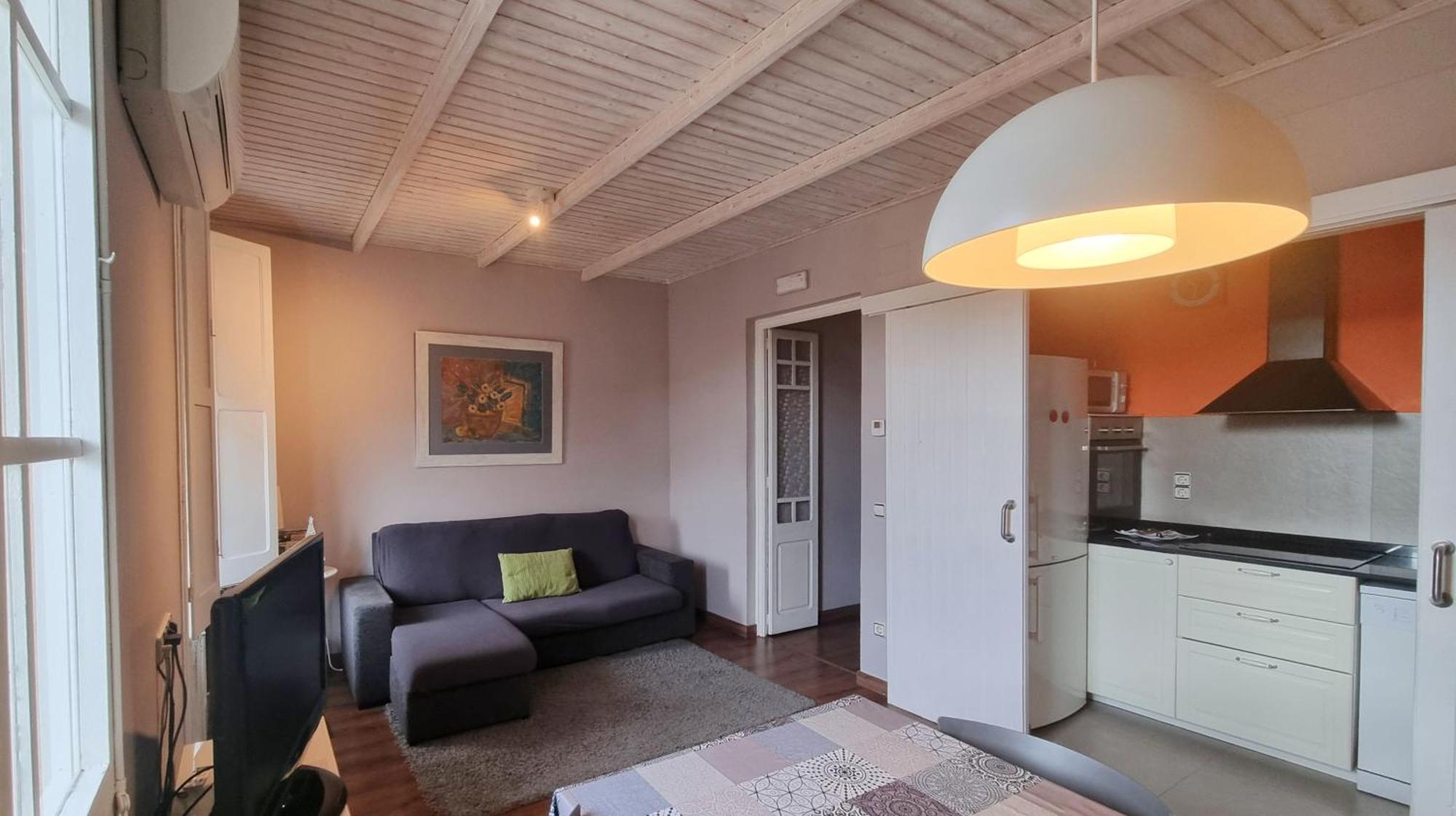 Apartment Sant Francesc Olot Luaran gambar