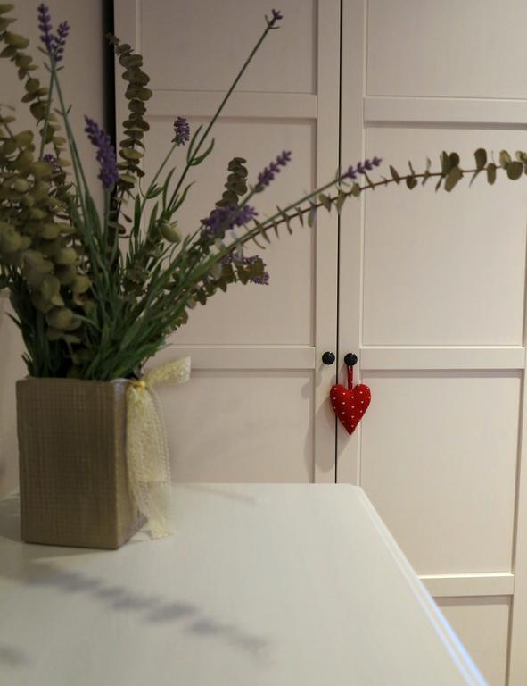 Apartment Sant Francesc Olot Luaran gambar